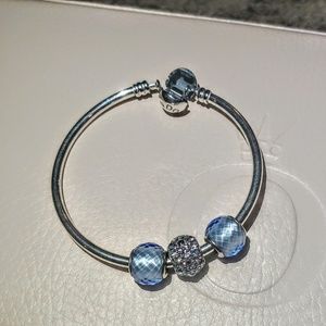 Pandora Charms!